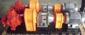 Roper Gear Pump Package