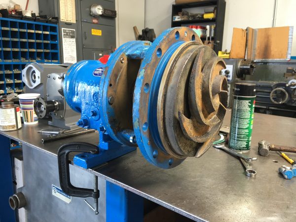 Goulds 3196 Pump Rebuild 2