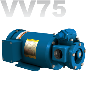 VV75
