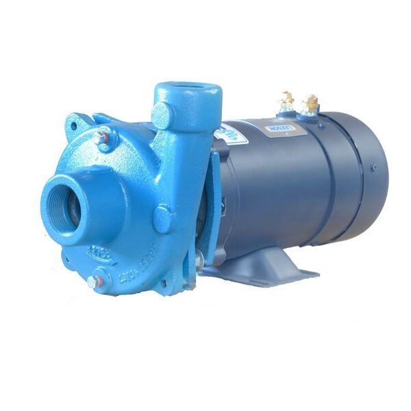 Burks DC-10 12V Washdown Pump