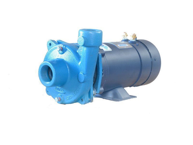 Burks DC-10 12V Washdown Pump