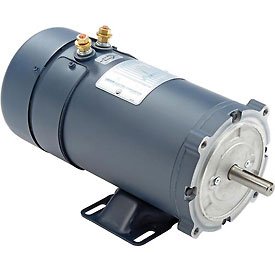 Leeson 12V DC Motor for Burks DC-10 Washdown Pump