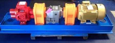 Roper 3858F Pump and Motor Unit