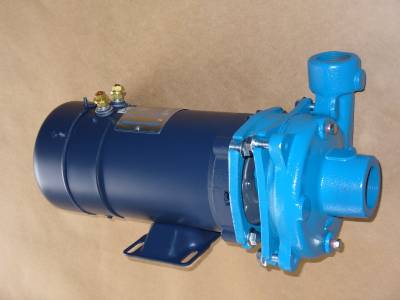 Burks DC-10 Washdown Pump