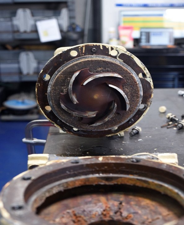 Rust build-up on the impeller vanes alongside the worn casing