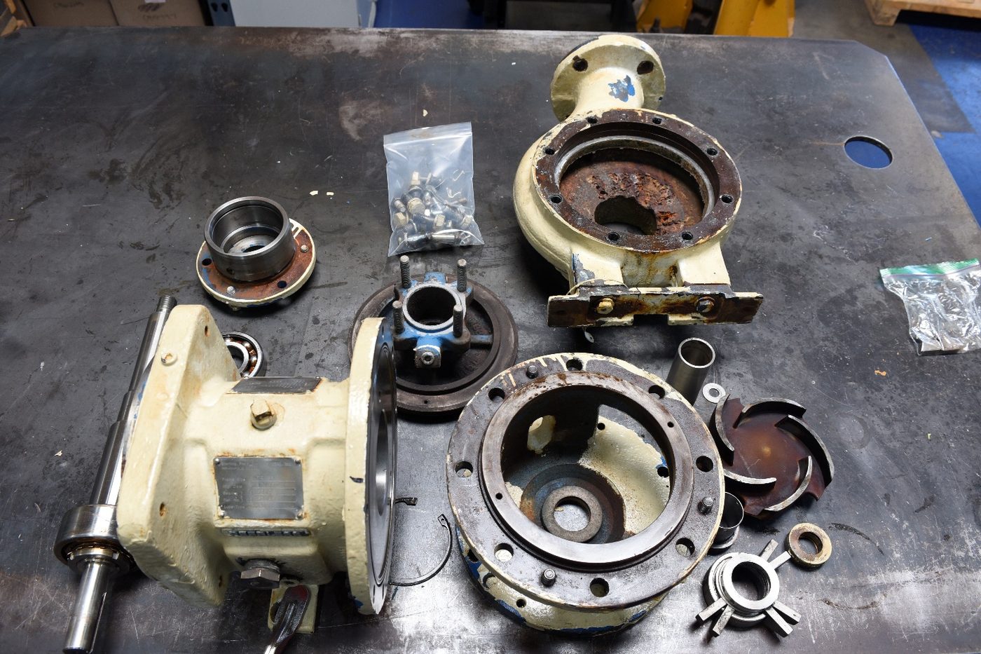 Every component of the disassembled pump laid out on the bench for inspection
