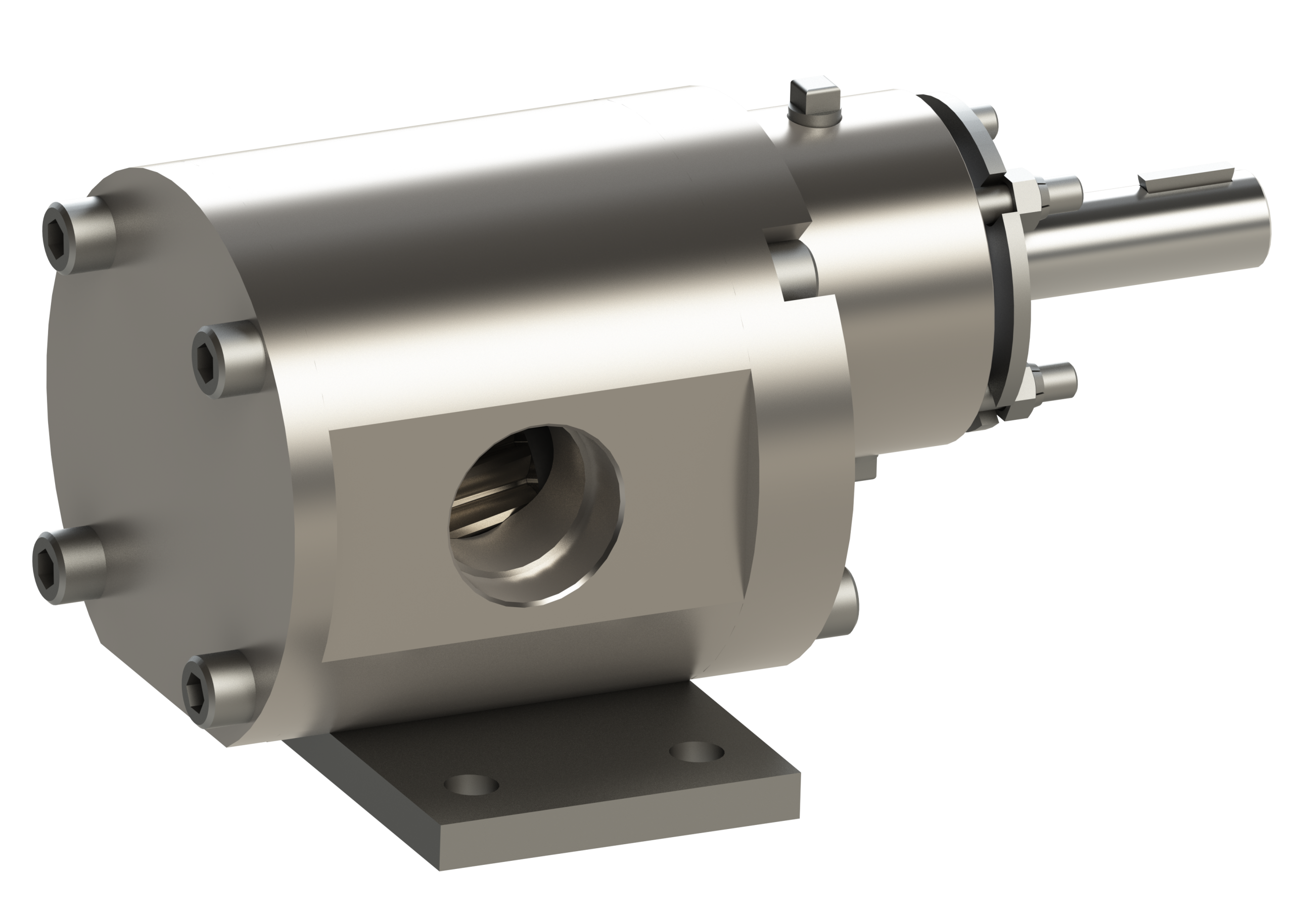 Roper Pump - ROC 18
